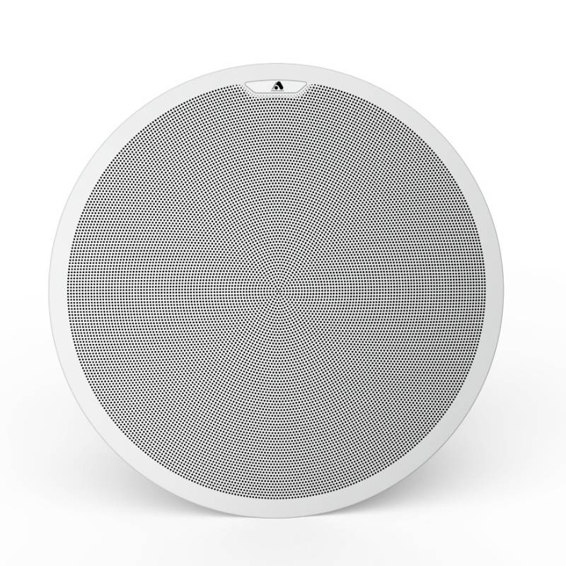 Ceiling Speaker subwoofer BS29T-S